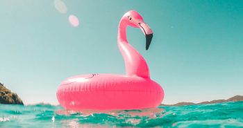 News-zum-digitalen-Marketing